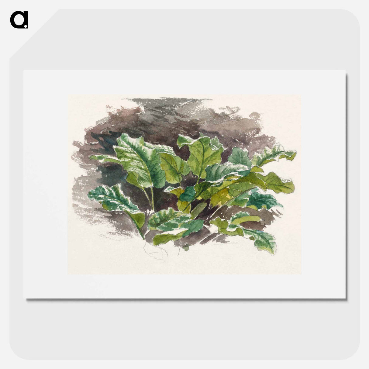 アートポスター-Botanical Study - サミュエル コールマン Poster.