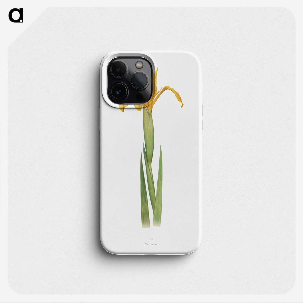 1-30_The-Genus-Iris_phone