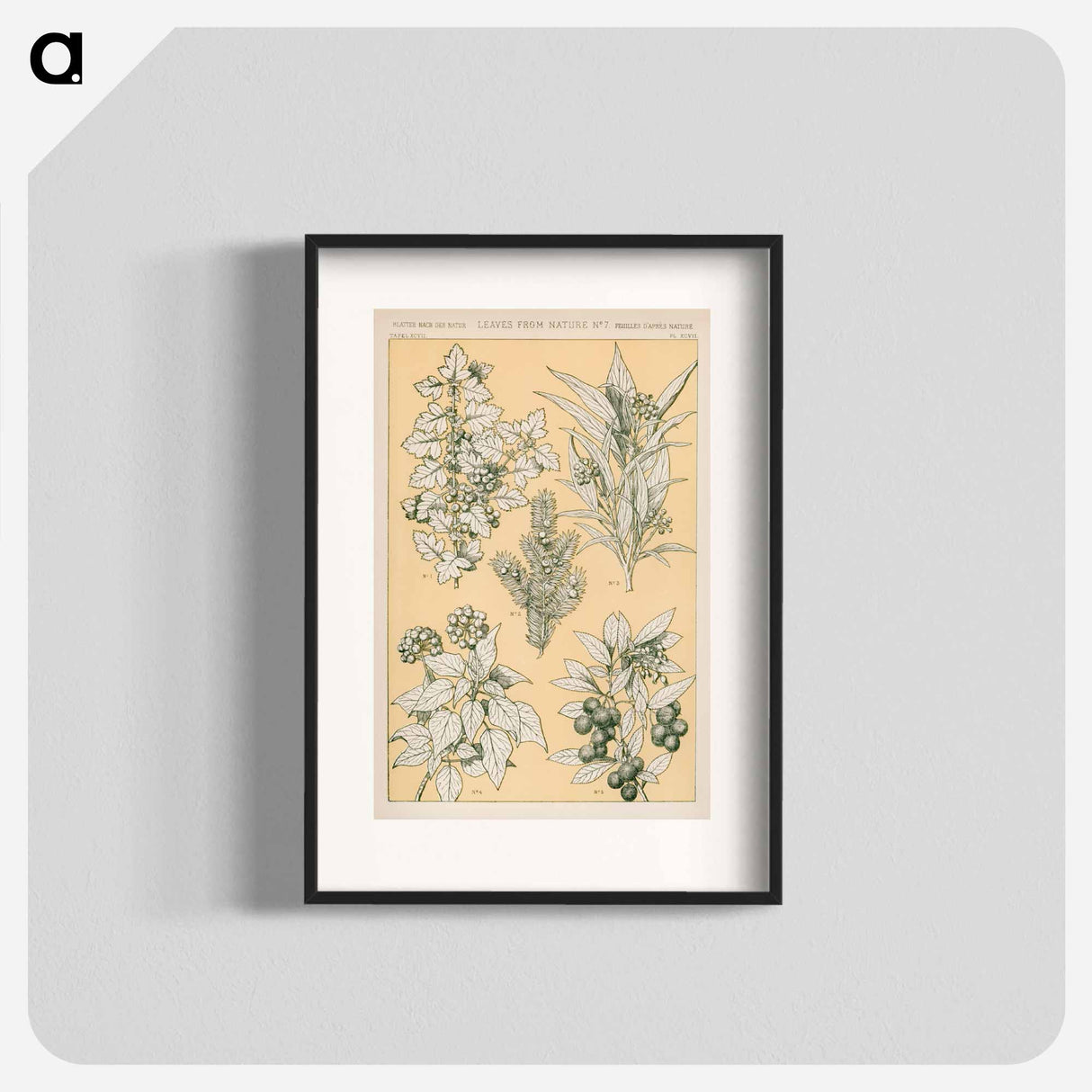 アートポスター-Nineteenth-Century Ornament
- 装飾の文法 Poster.