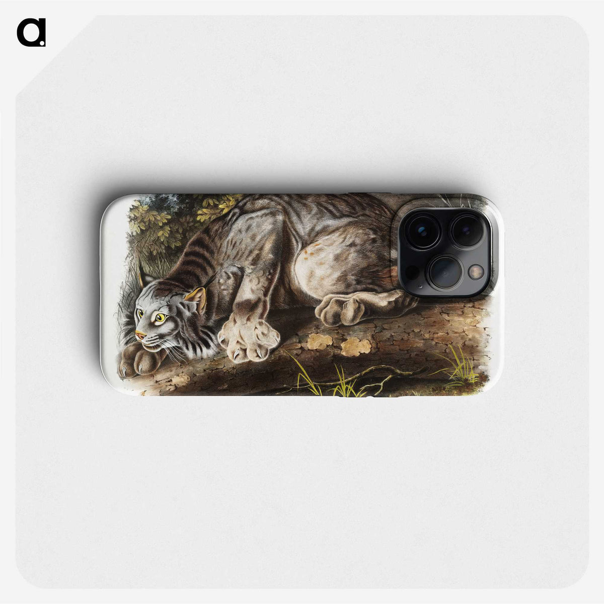 1-30_The-Viviparous-Quadrupeds_phone