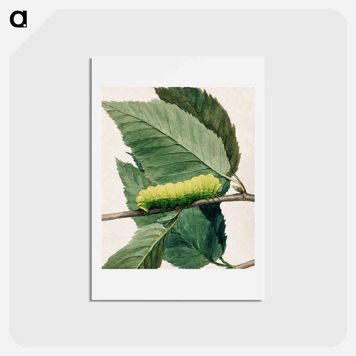 アートポストカード-Lunar Caterpillar - アボット ハンダーソン セイヤー Postcard.