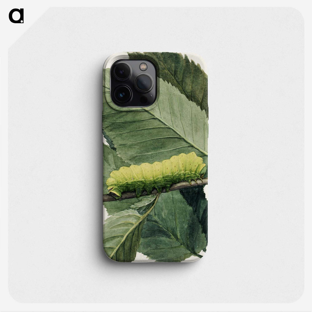1-31_Abbott-Handerson-Thayer_phone
