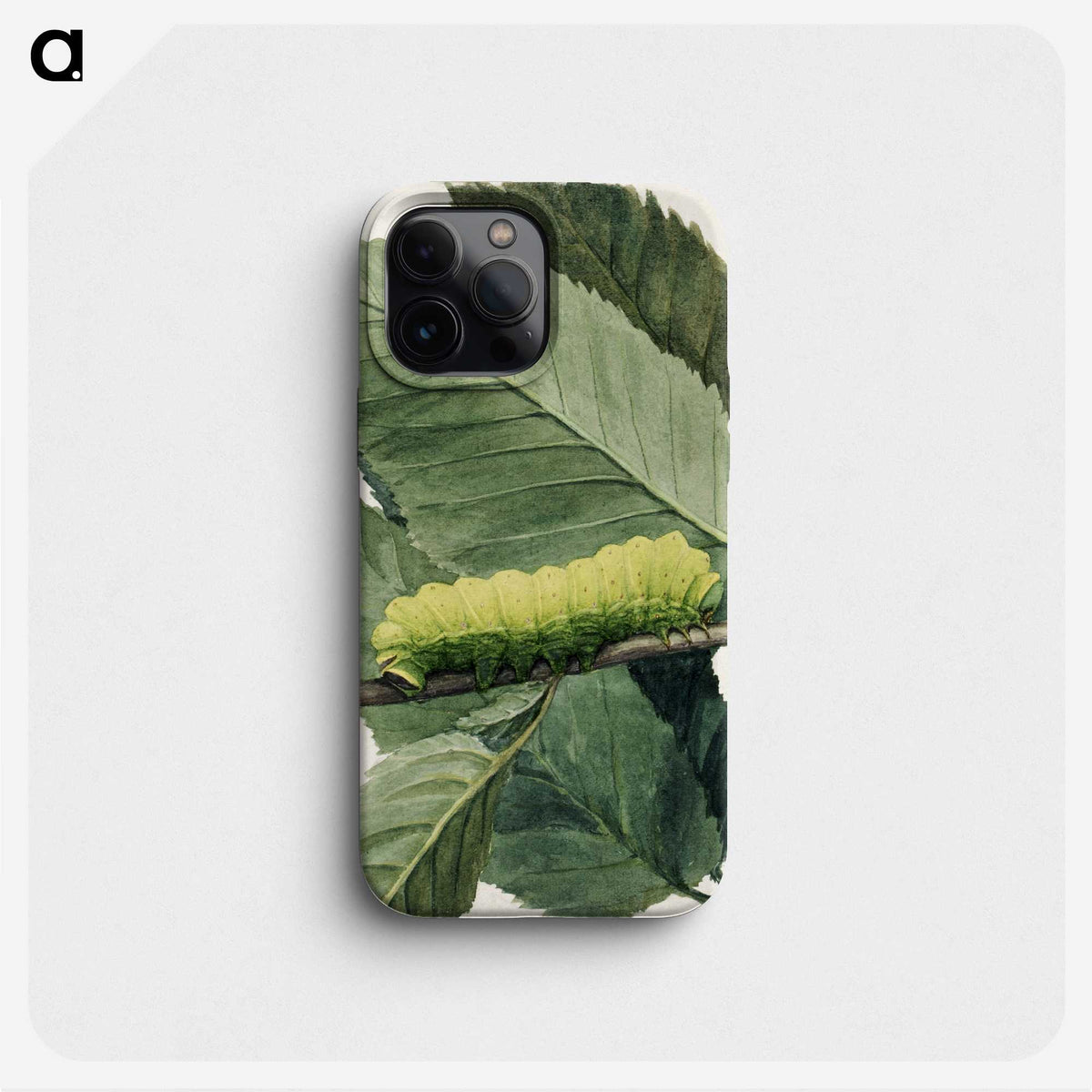 1-31_Abbott-Handerson-Thayer_phone
