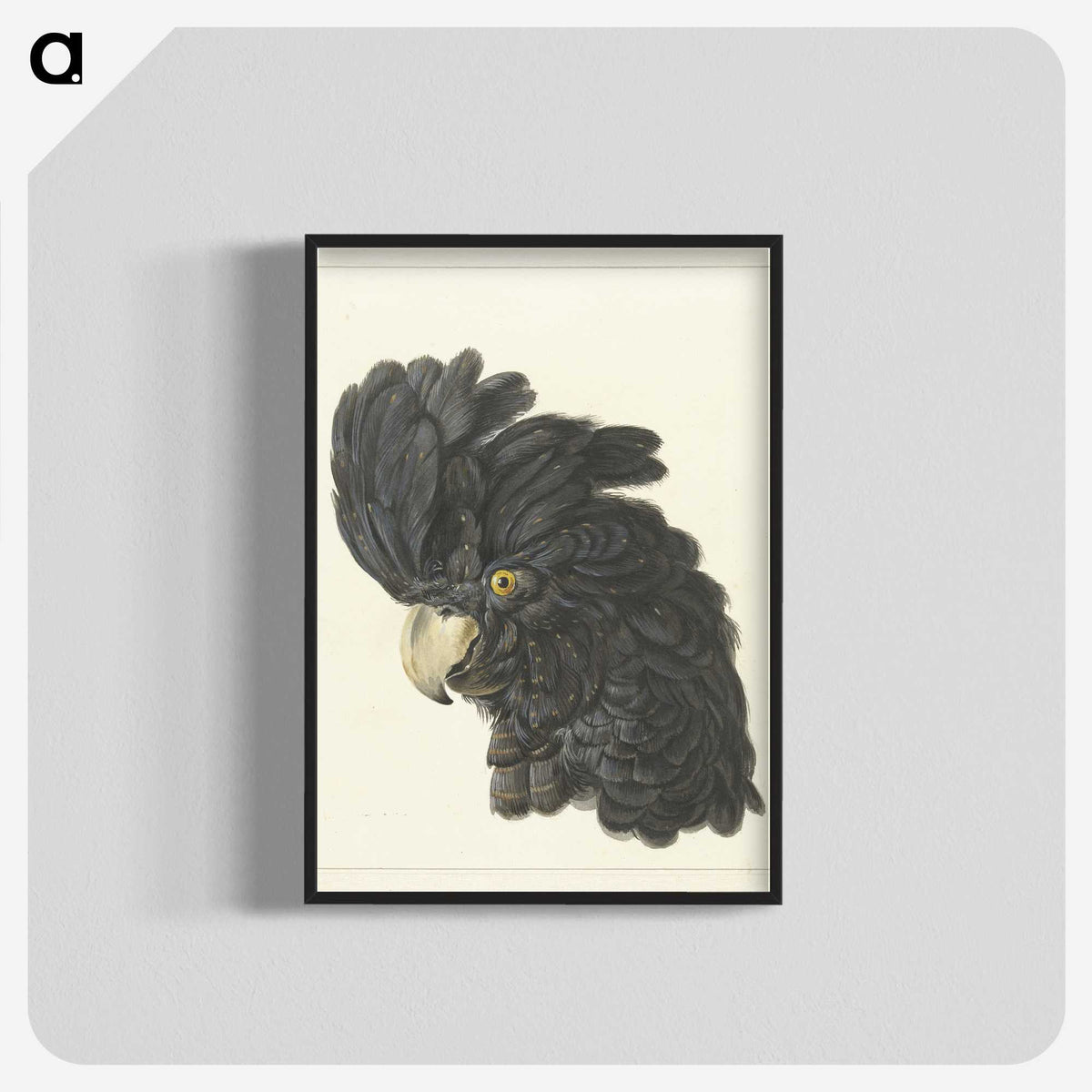 1-31_Aert-Schouman_blk-crop