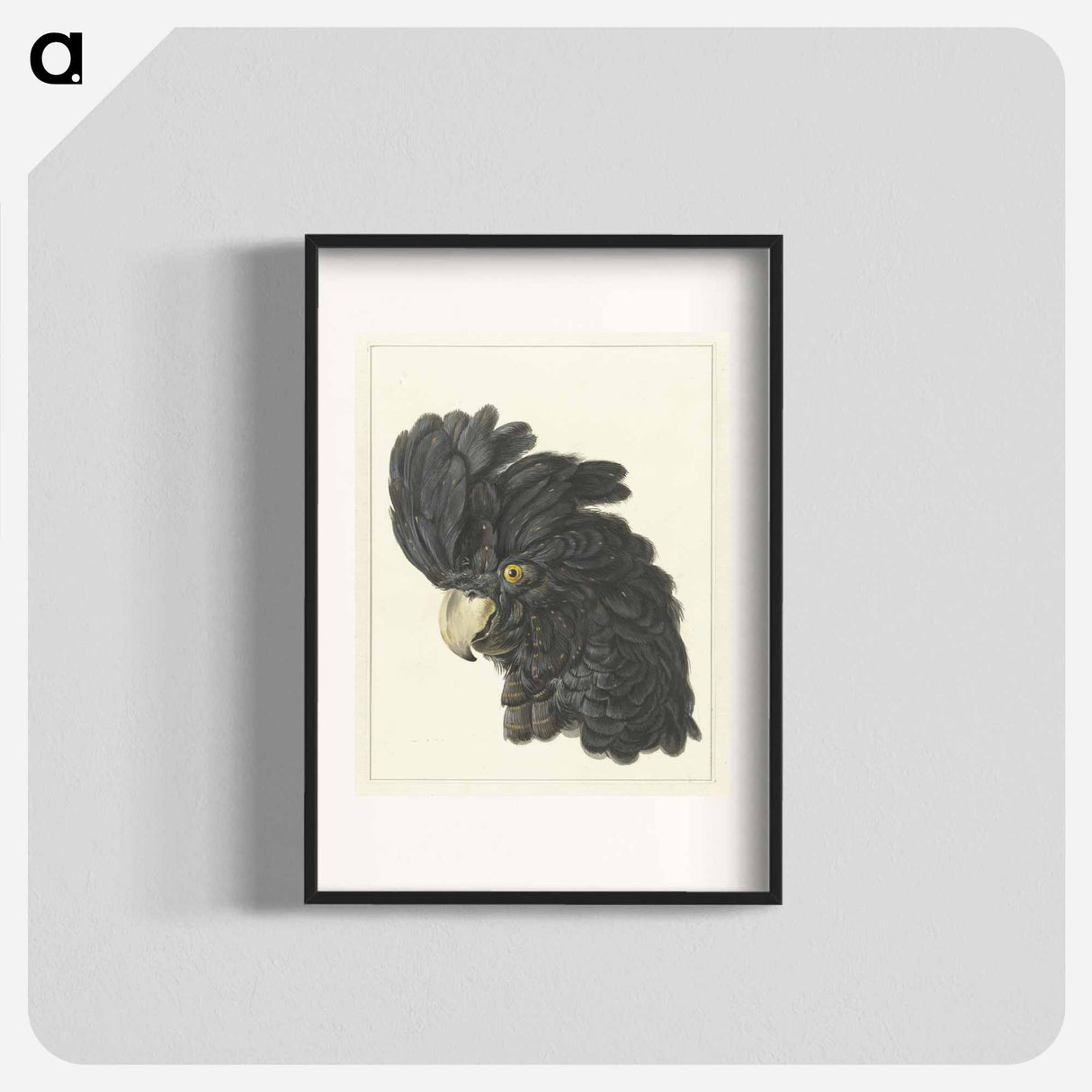 Head of a Cockatoo - アールト シューマン Poster.