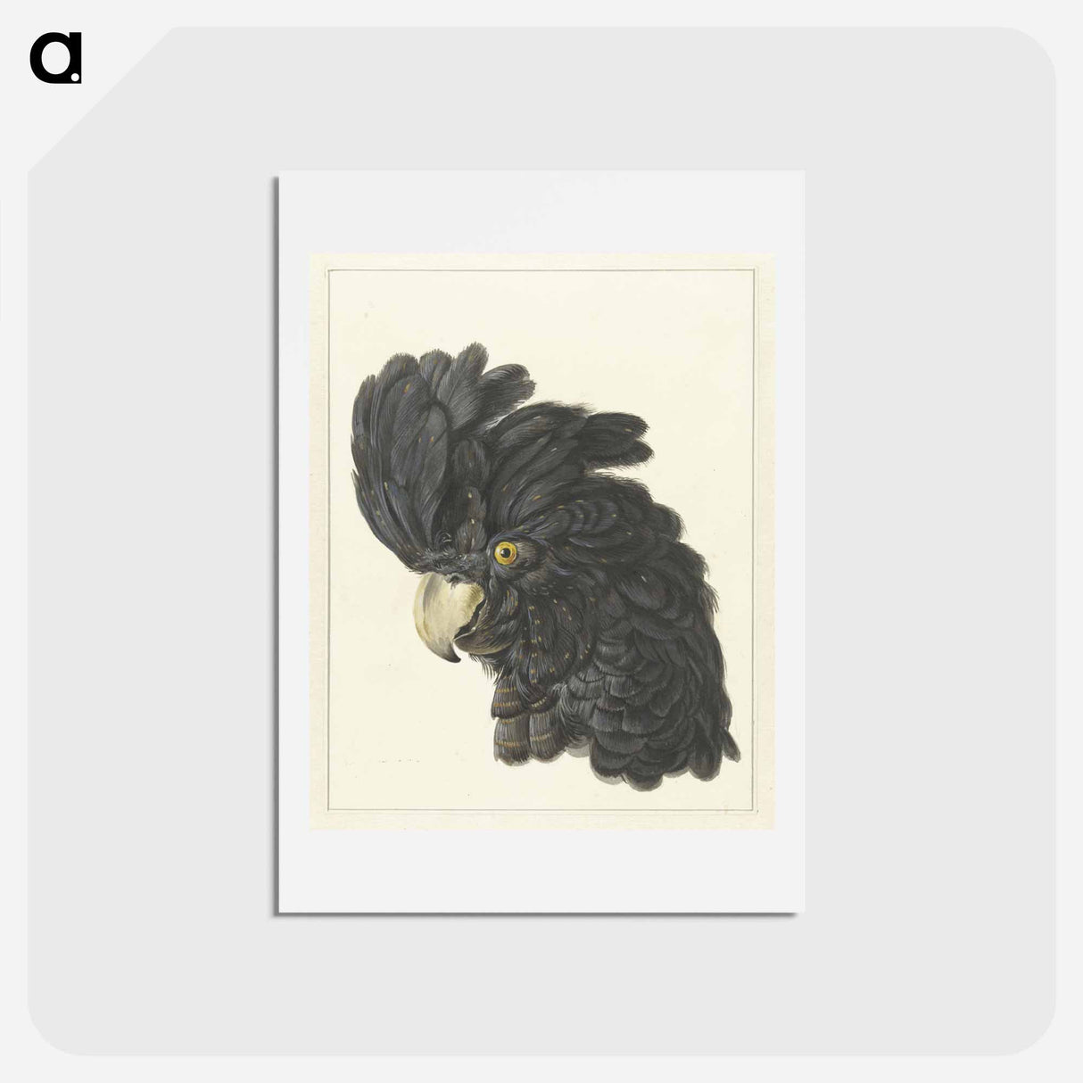 アートポストカード-Head of a Cockatoo - アールト シューマン Postcard.