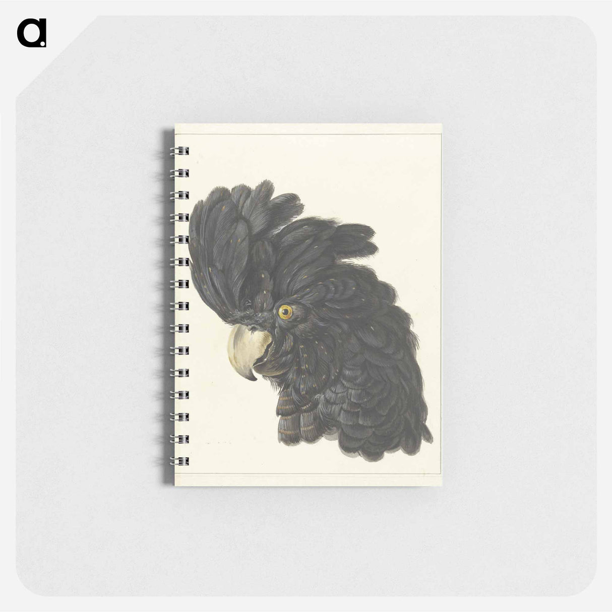 Head of a Cockatoo - アールト シューマン Memo.