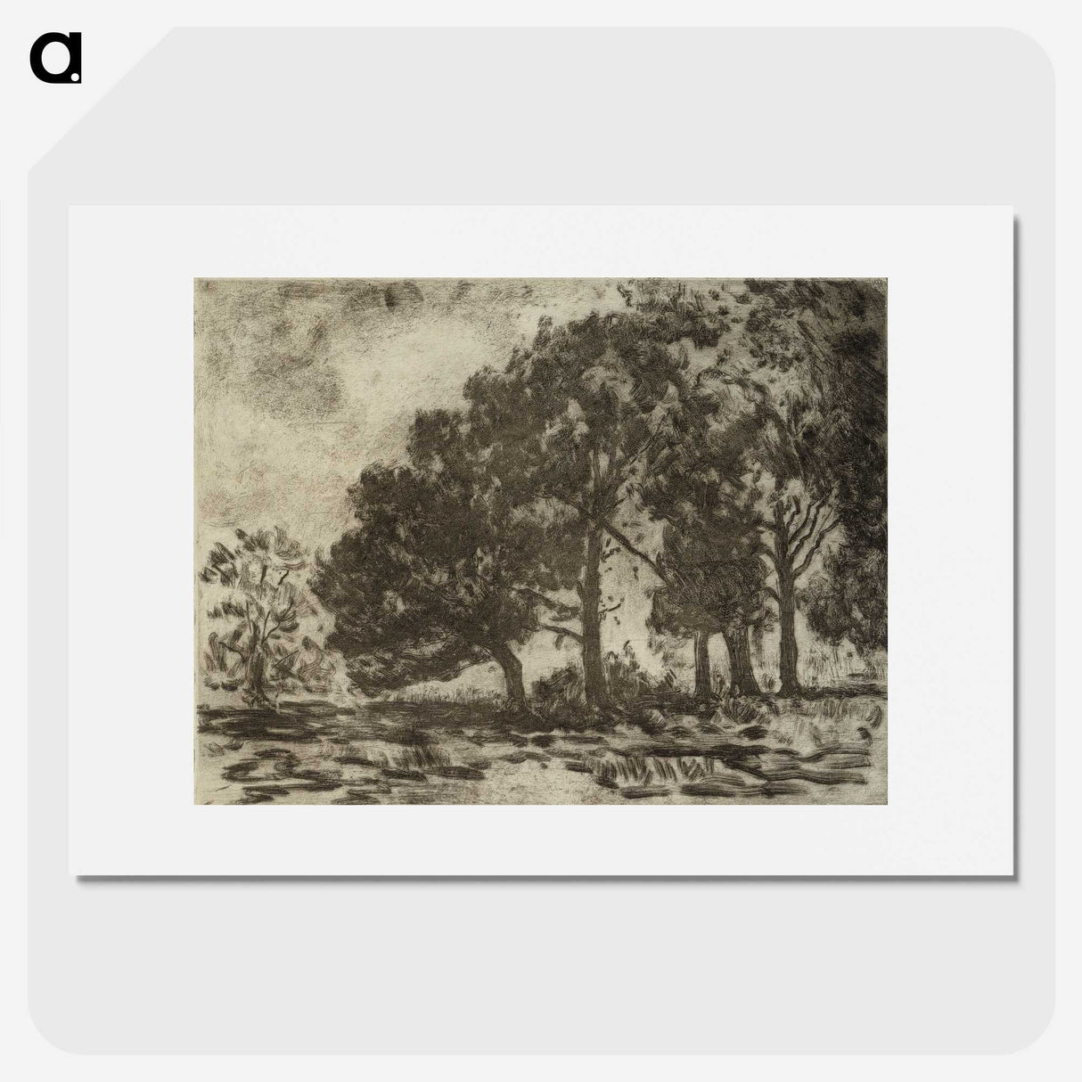 1-31_Alfred-William-Finch_picture