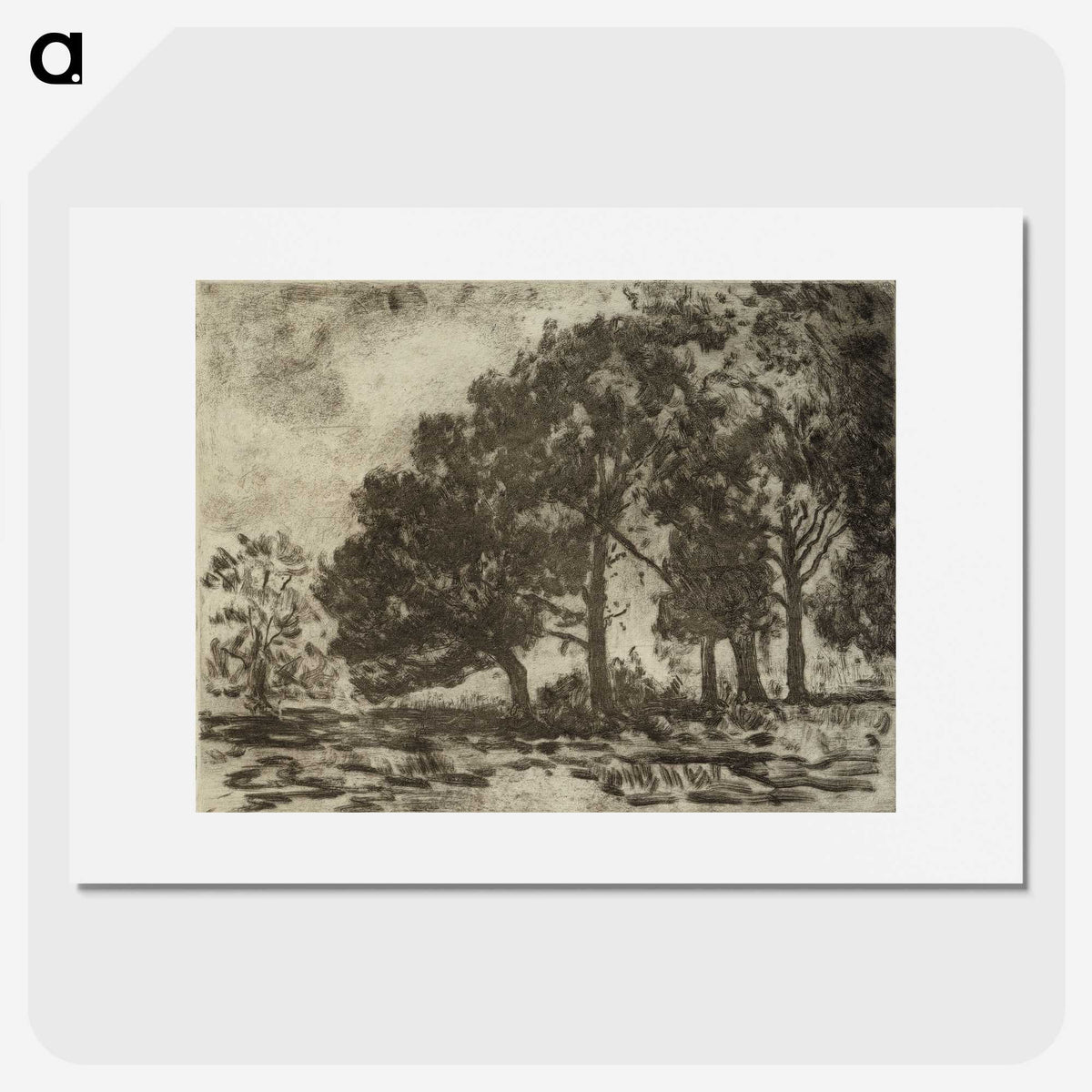 1-31_Alfred-William-Finch_picture