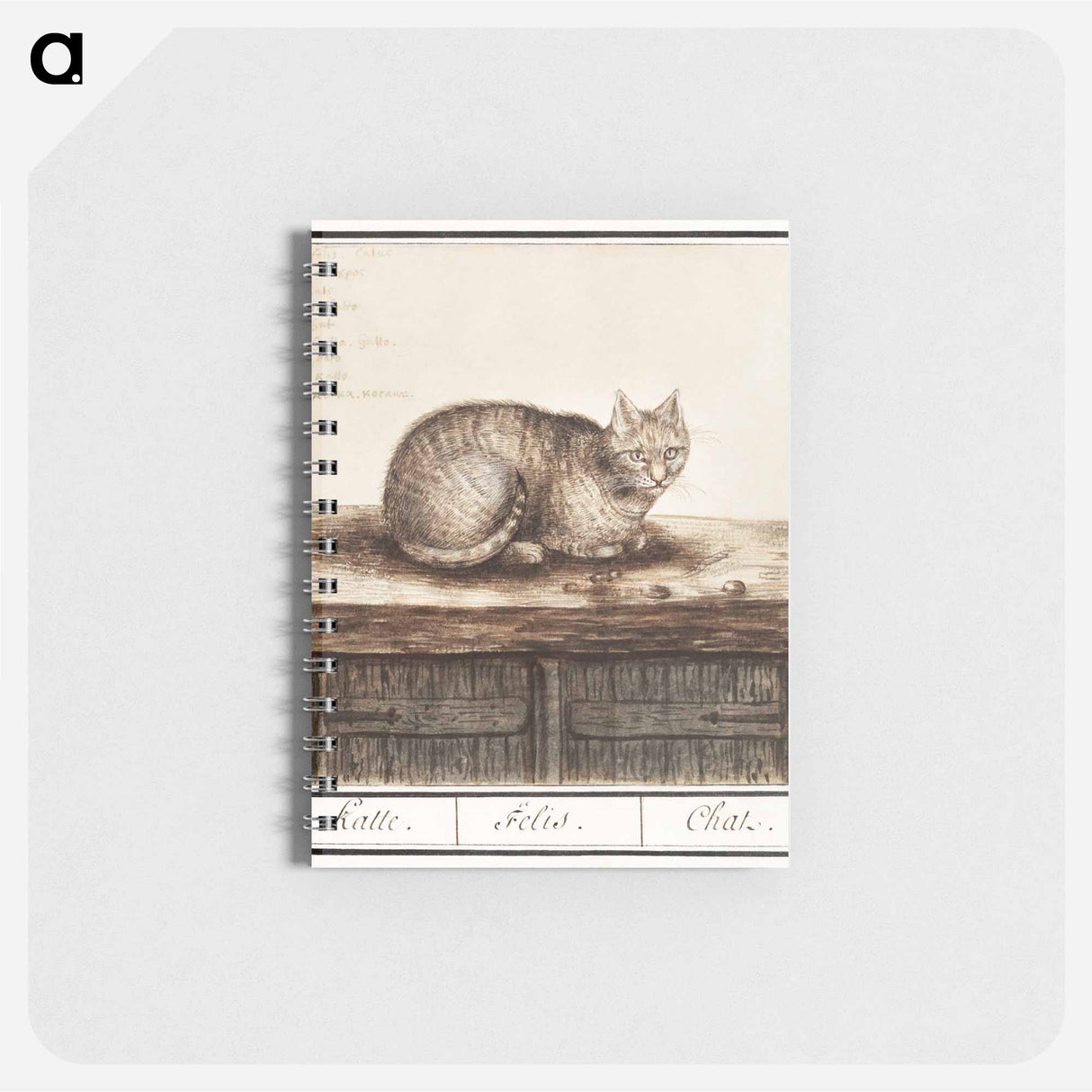 アートメモ帳-Cat - アンセルムス ボエティウス デ ブート Memo.