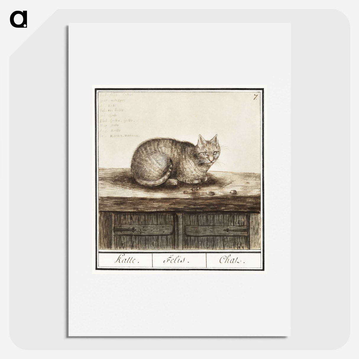 1-31_Anselmus-Boetius-de-Boodt_picture