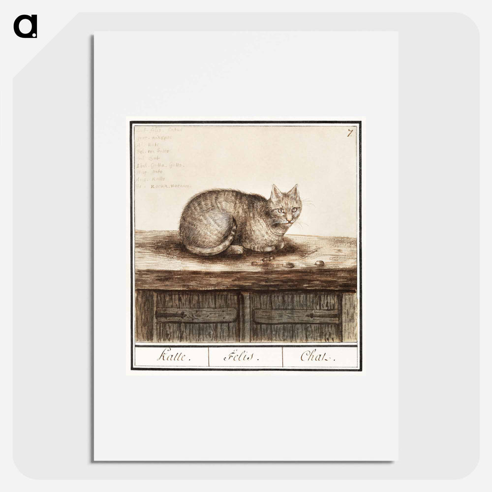 Cat - アンセルムス ボエティウス デ ブート Poster.