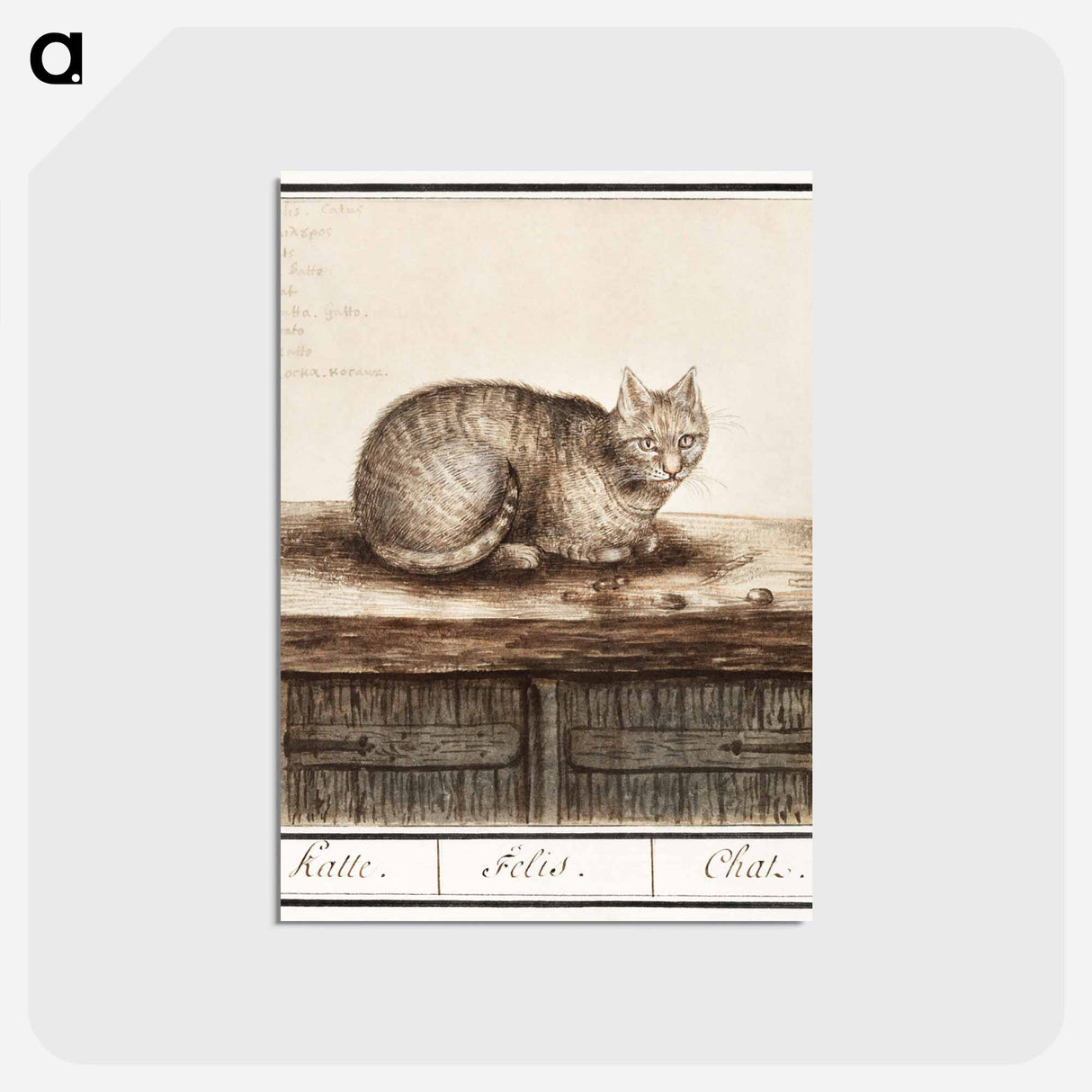 アートポストカード-Cat - アンセルムス ボエティウス デ ブート Postcard.