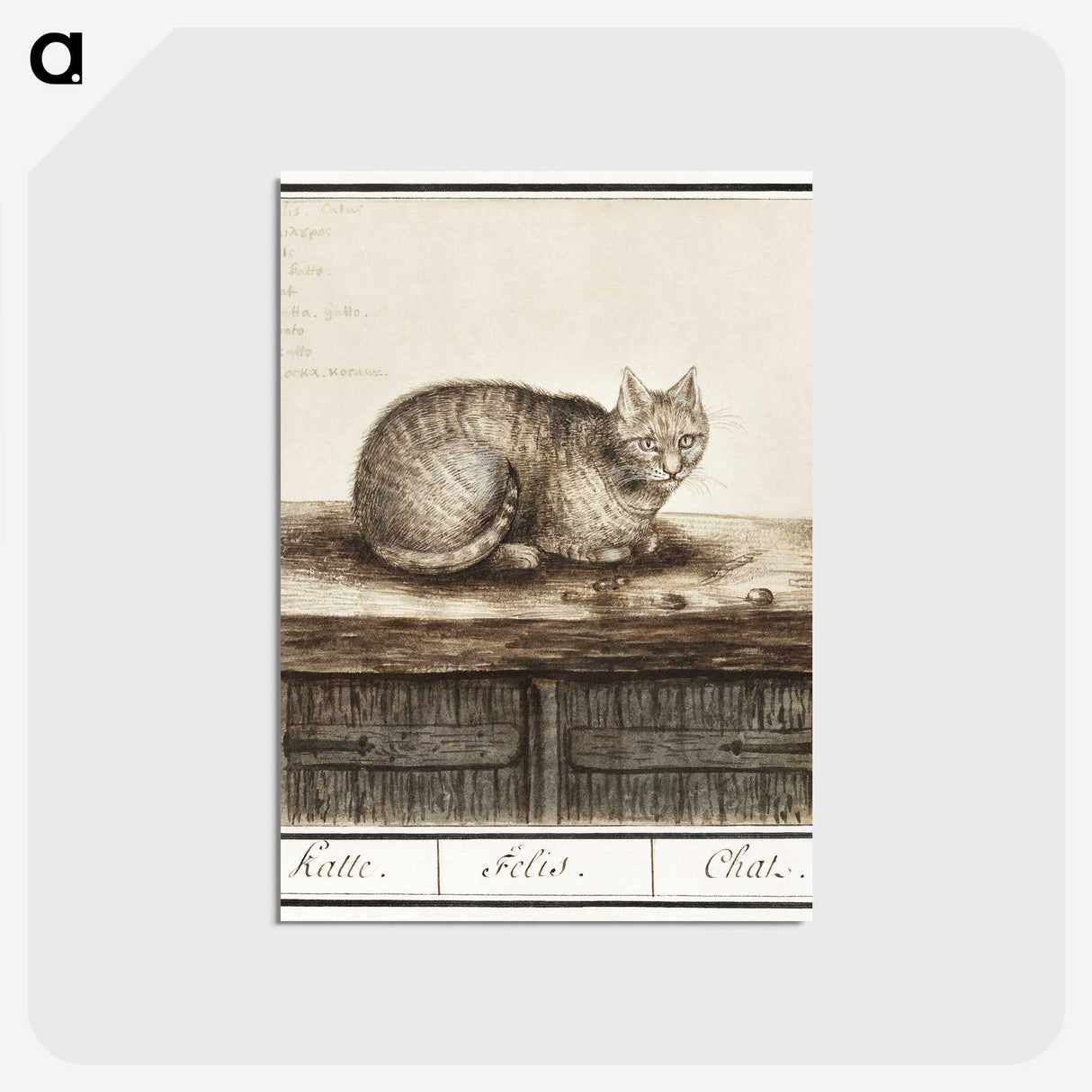 1-31_Anselmus-Boetius-de-Boodt_postcard