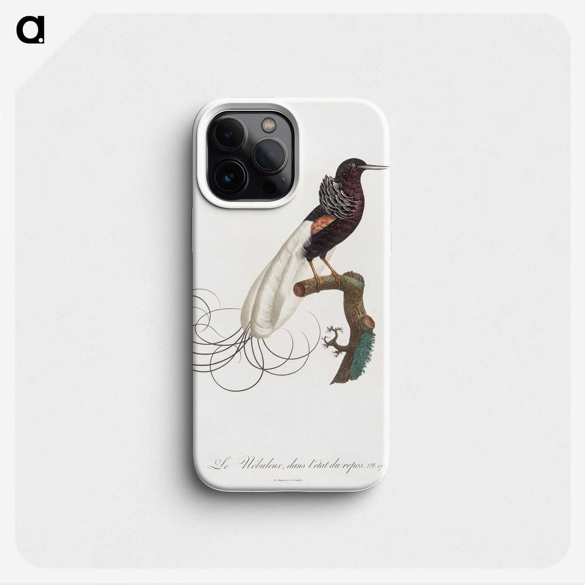 1-31_Des-Oiseaux-de-Paradis_phone