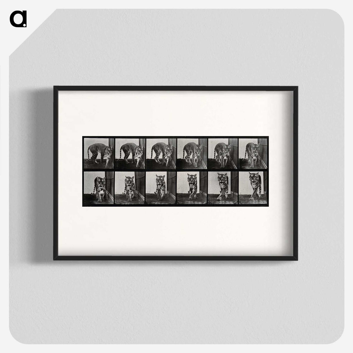 1-31_Eadweard-Muybridge_blk