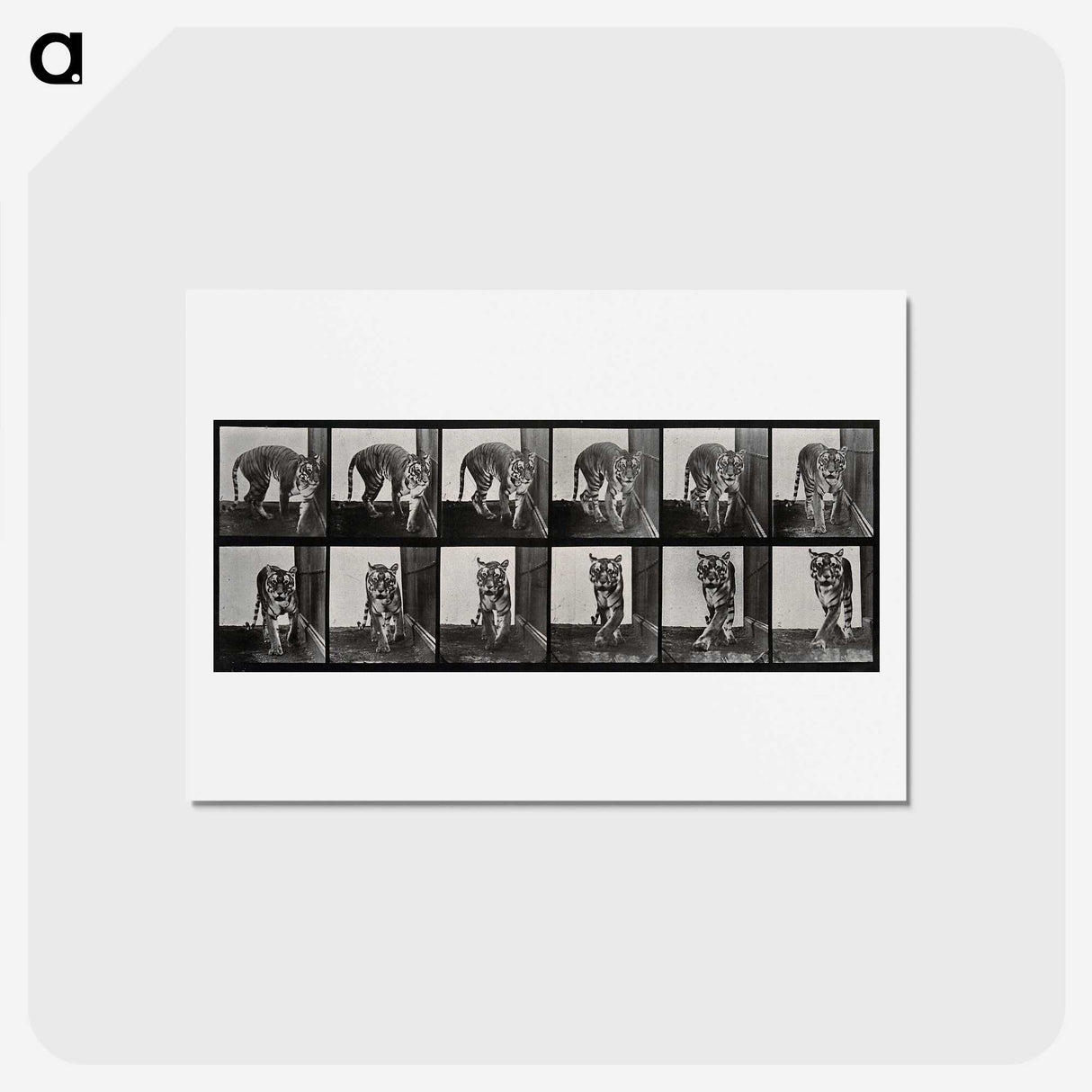 1-31_Eadweard-Muybridge_hagaki
