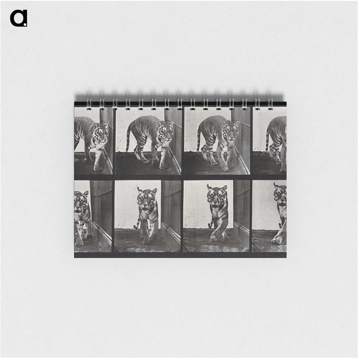 1-31_Eadweard-Muybridge_memo