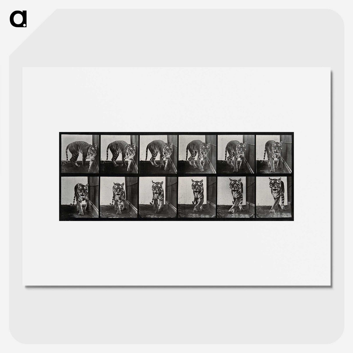 1-31_Eadweard-Muybridge_picture