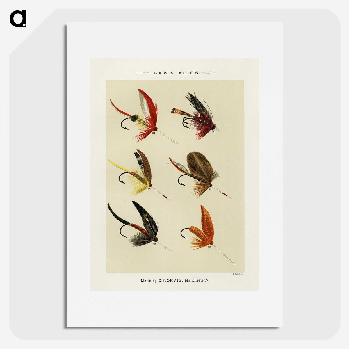 1-31_Favorite-Flies-and-Their-History_picture