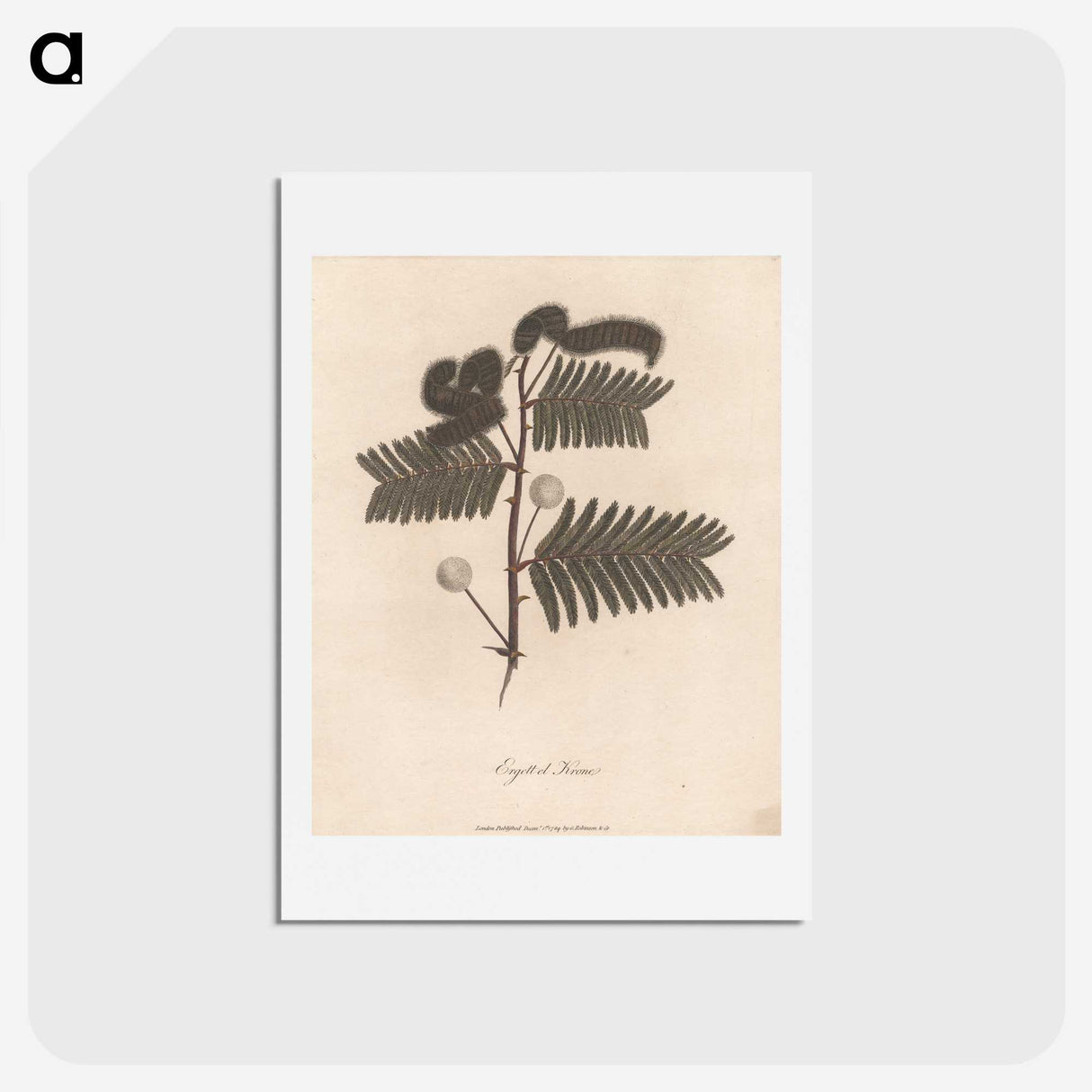 1-31_James-Heath_hagaki