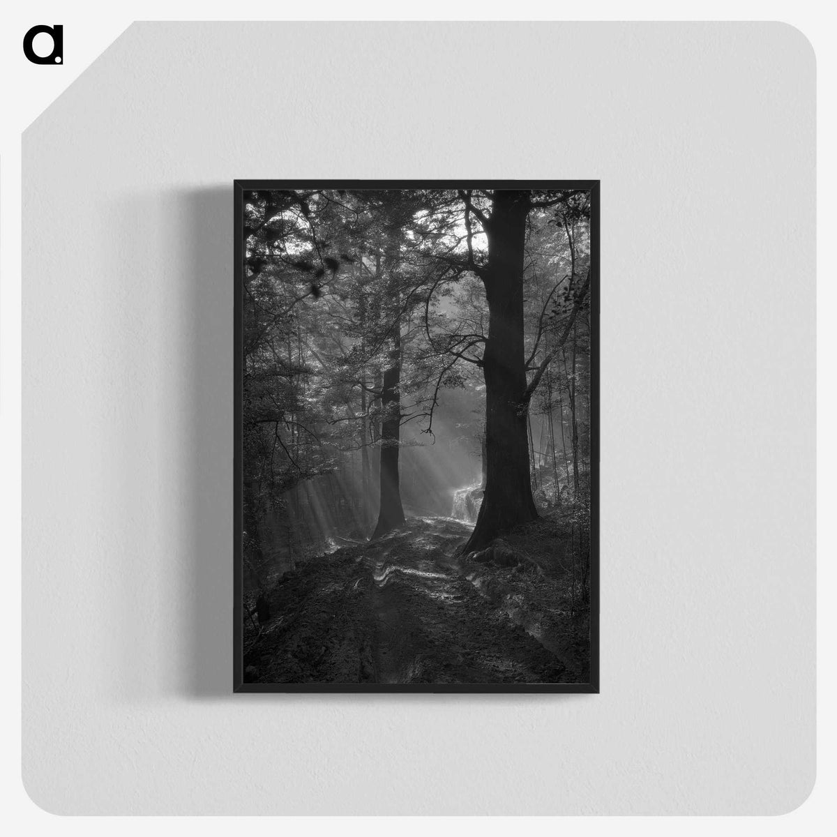 1-31_James-Walter-Chapman-Taylor_blk-crop