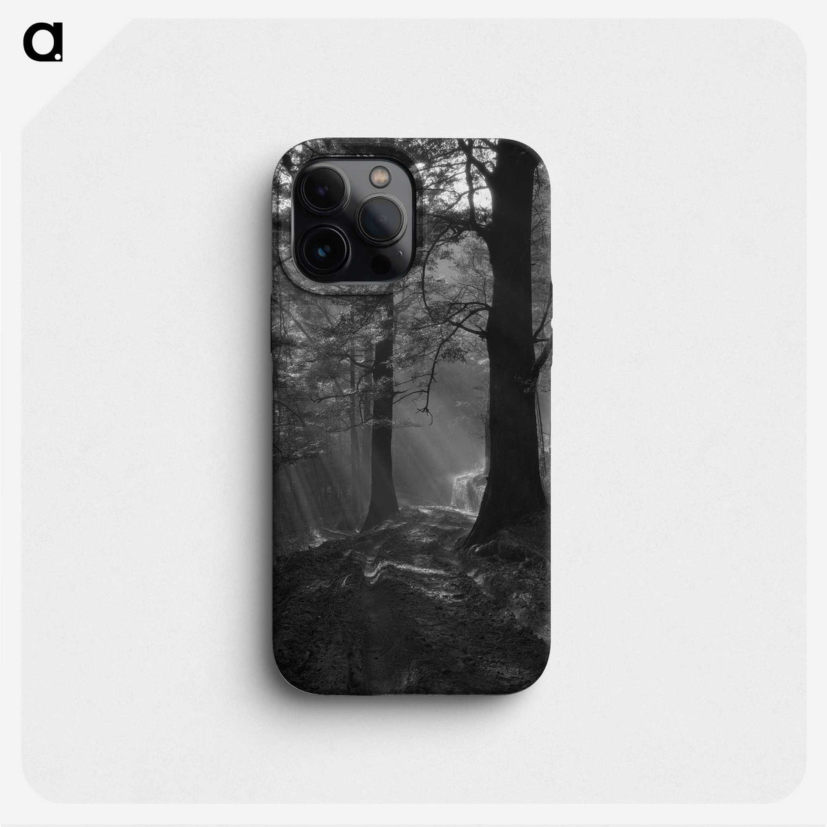1-31_James-Walter-Chapman-Taylor_phone