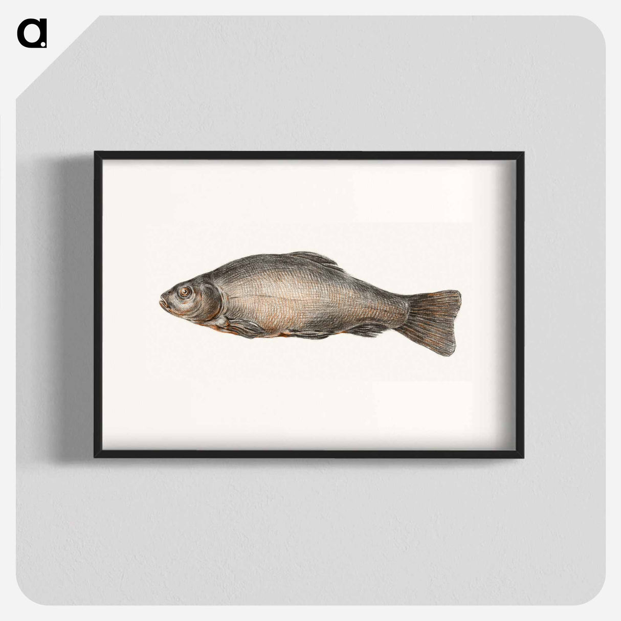 Fish - ジャン ベルナール Poster.