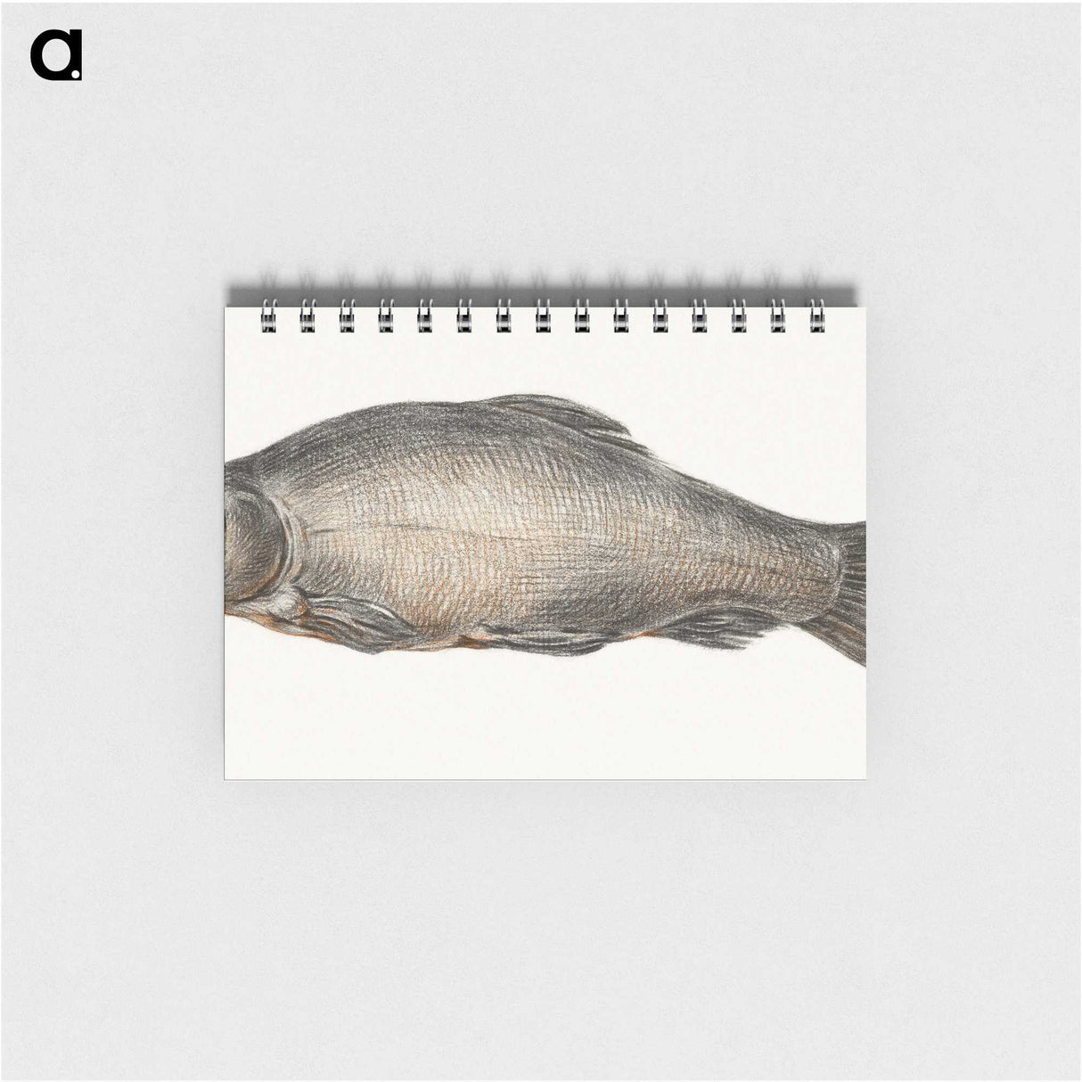1-31_Jean-Bernard_memo