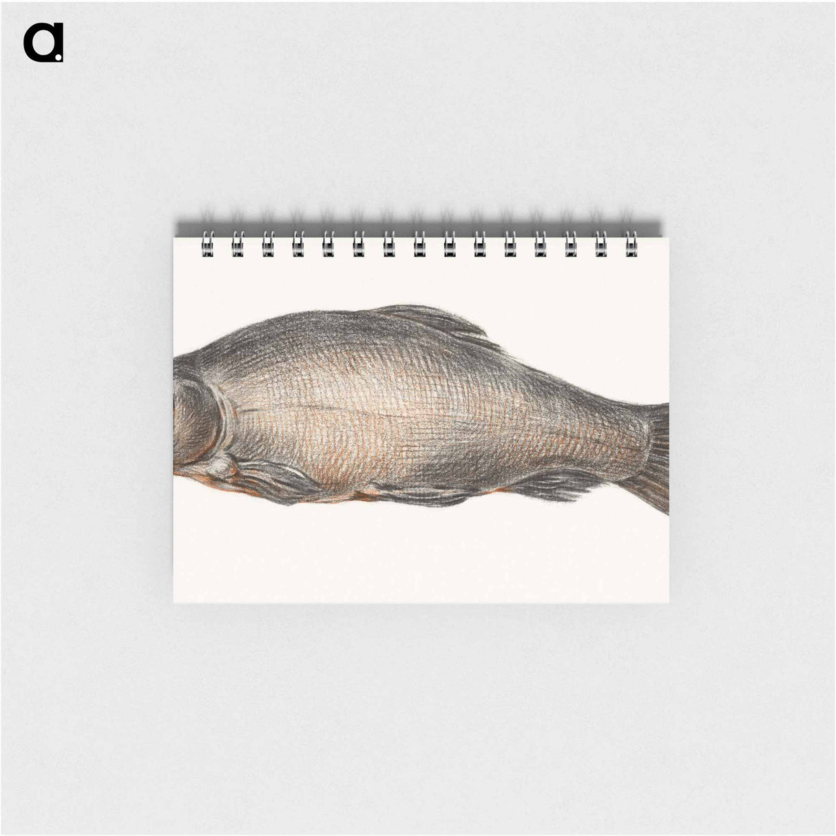 Fish - ジャン ベルナール Memo.