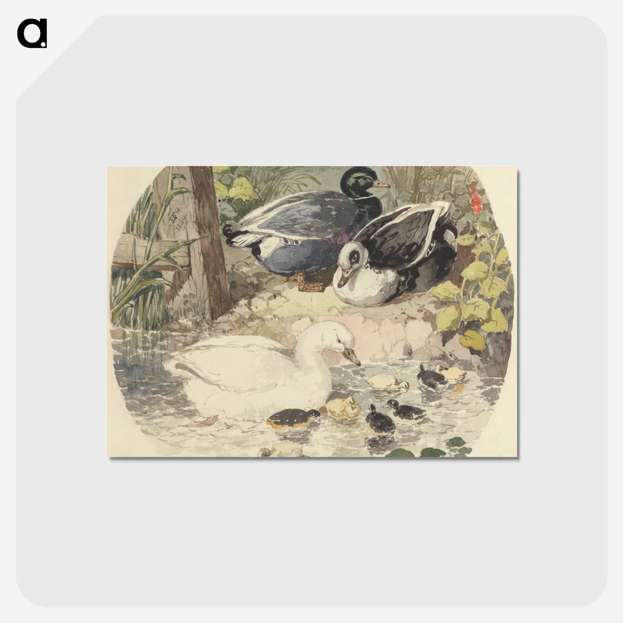 アートポストカード-British Ducks
- ジョン フレデリック ヘリング Postcard.