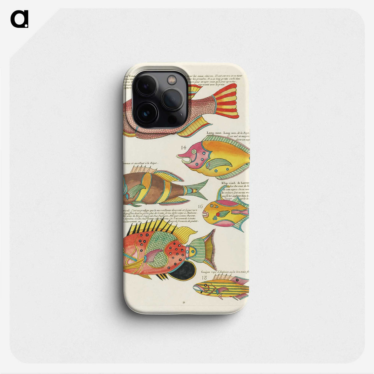 1-31_Louis-Renard_phone