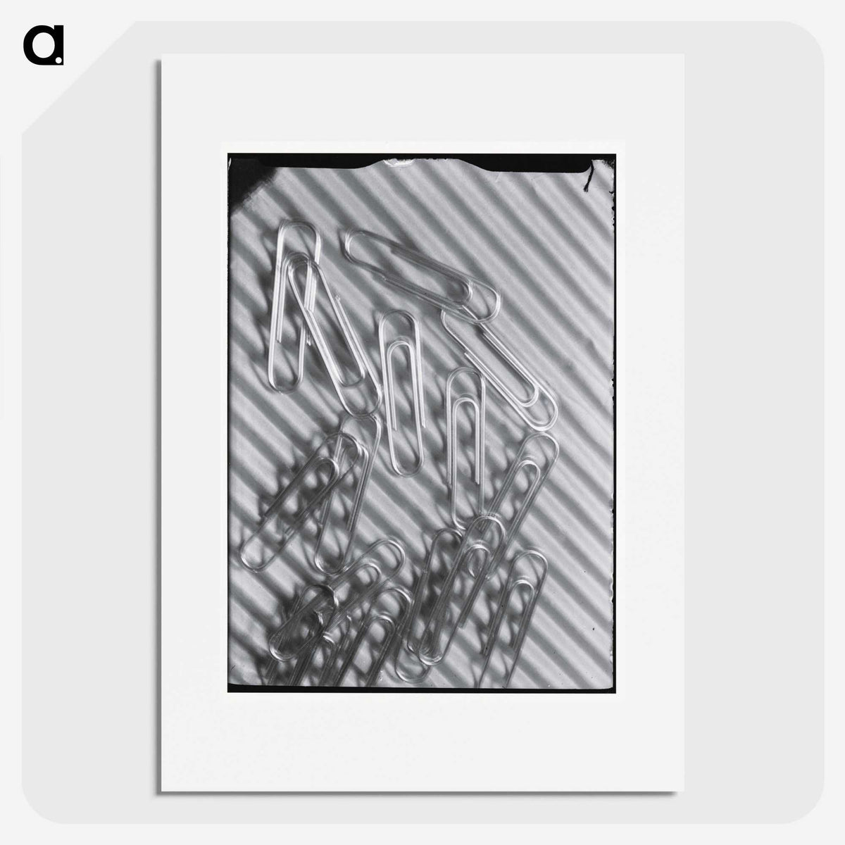 1-31_Milos-Dohnany_picture