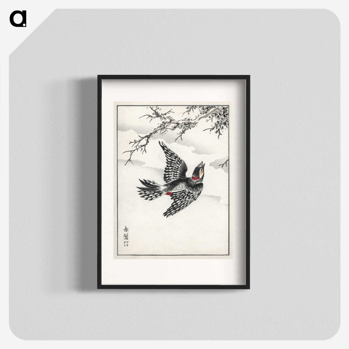 1-31_Pictorial-Monograph-of-Birds_blk