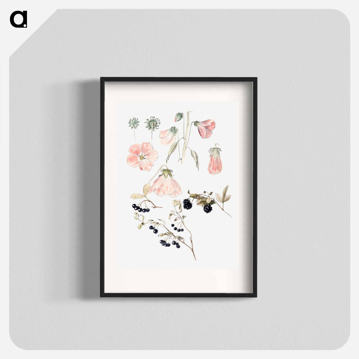アートポスター-Botanical Detail Studies: Hollyhocks, Blueberries, and Blackberries - サミュエル コールマン Poster.