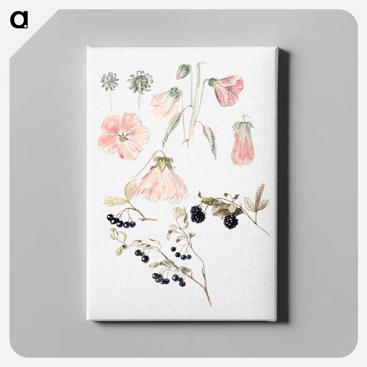 アートパネル-Botanical Detail Studies: Hollyhocks, Blueberries, and Blackberries - サミュエル コールマン Canvas.