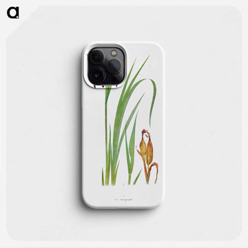 Iris Chrysographes from The Genus Iris
 - アヤメ属 Phone Case.