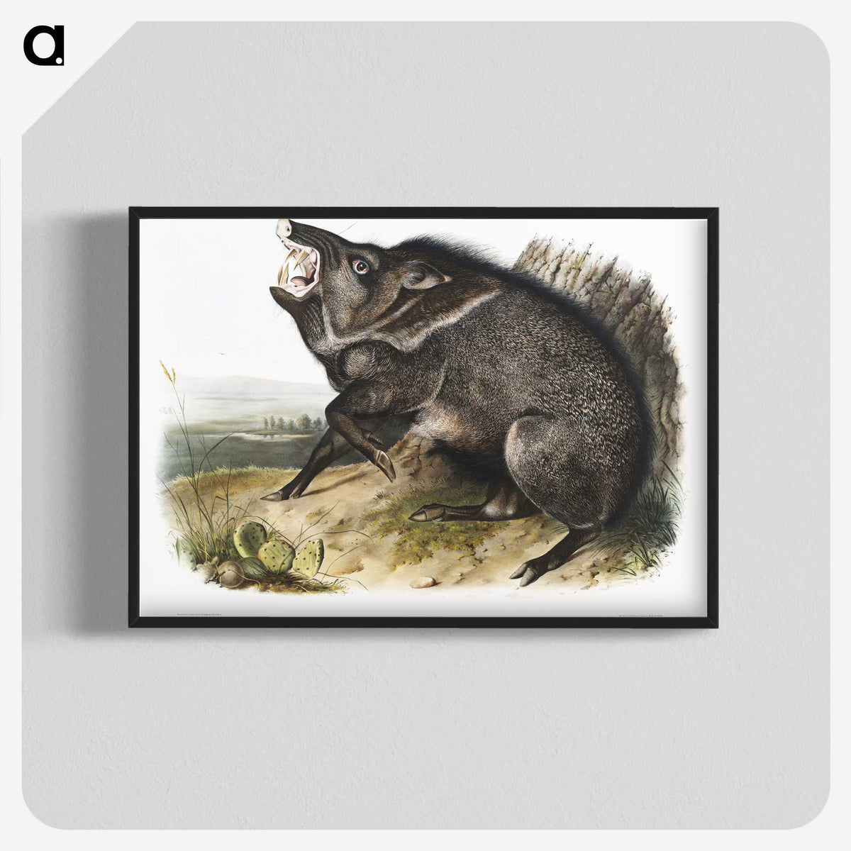1-31_The-Viviparous-Quadrupeds_blk-crop