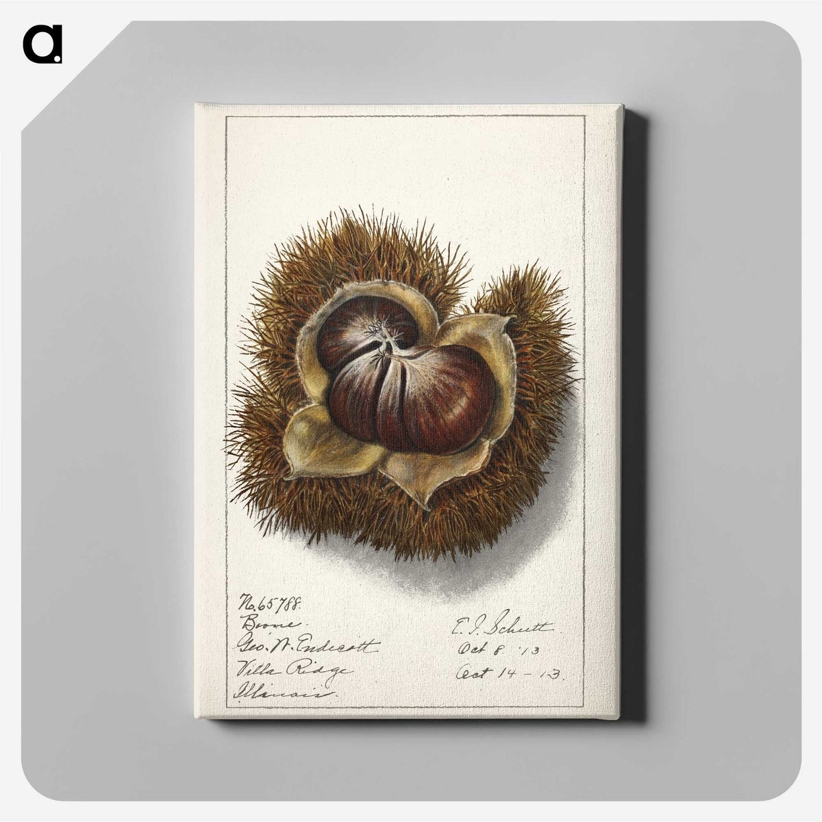 1-31_USDA-Watercolor-Fruit-Painting-Collection_canvas