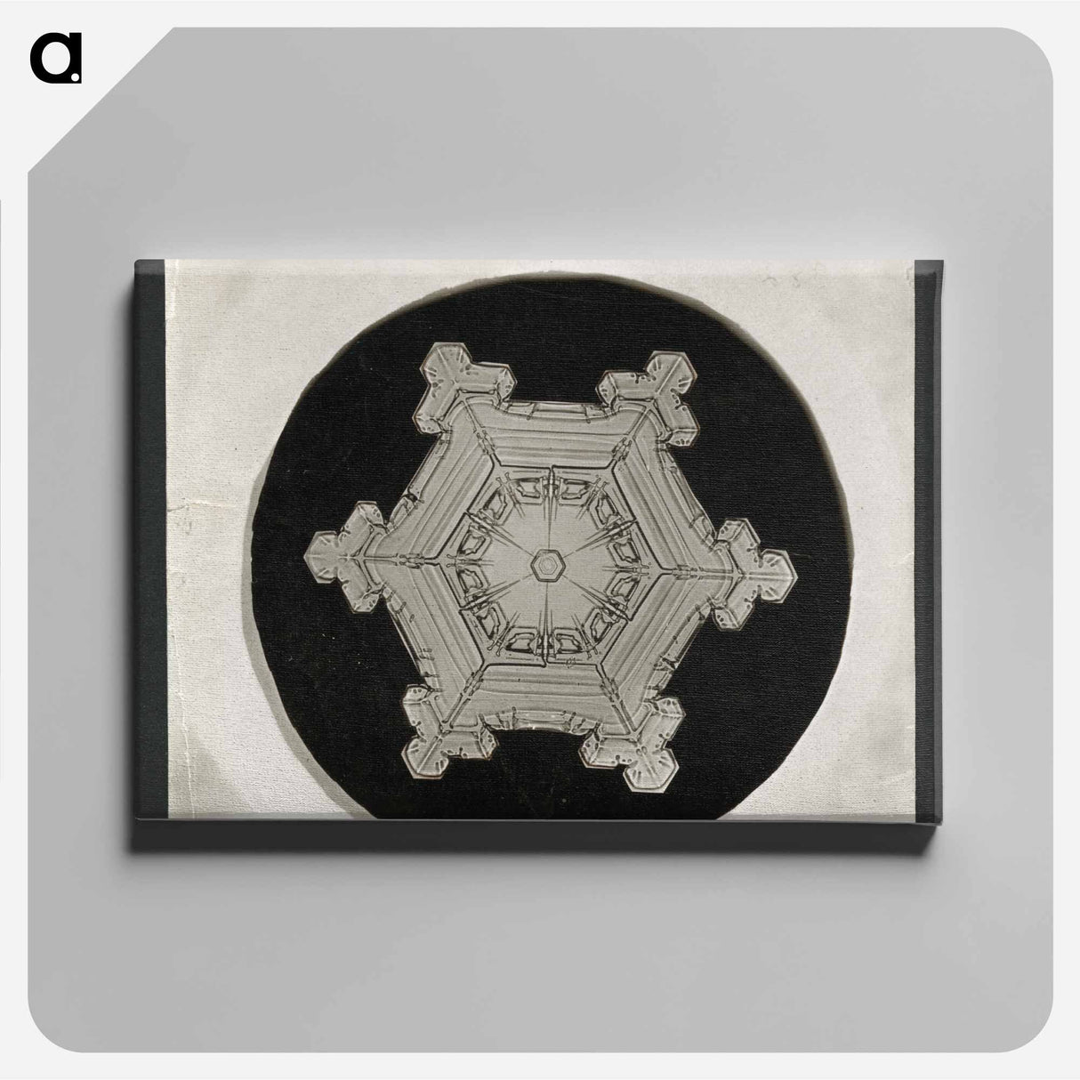 Wilson Bentley Photomicrograph of Stellar Snowflake No. 382 - ウィルソン ベントレー Canvas.
