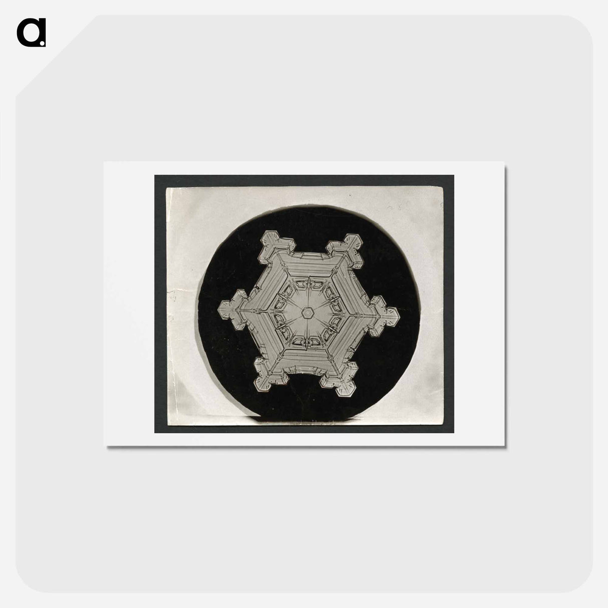 アートポストカード-Wilson Bentley Photomicrograph of Stellar Snowflake No. 382 - ウィルソン ベントレー Postcard.