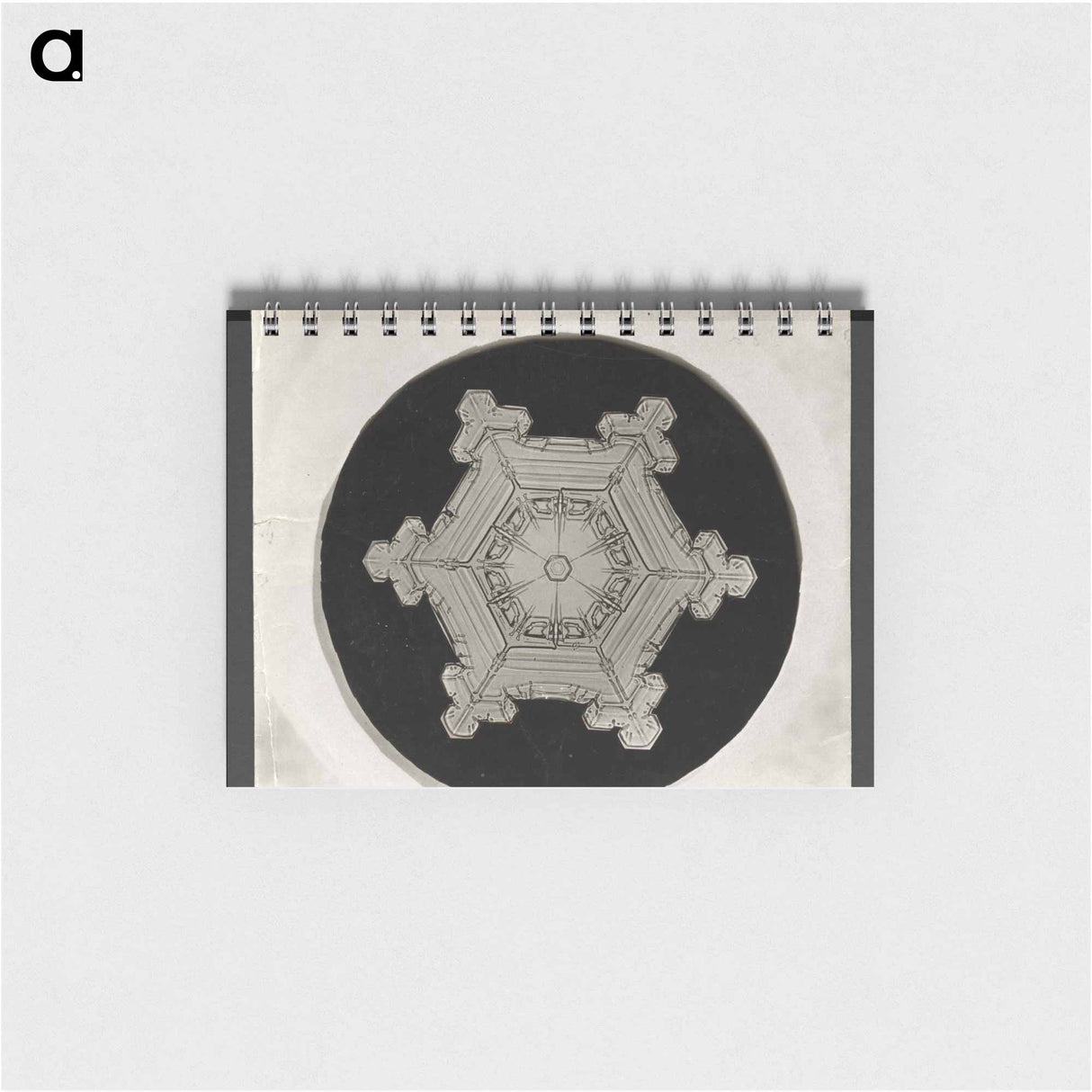 アートメモ帳-Wilson Bentley Photomicrograph of Stellar Snowflake No. 382 - ウィルソン ベントレー Memo.