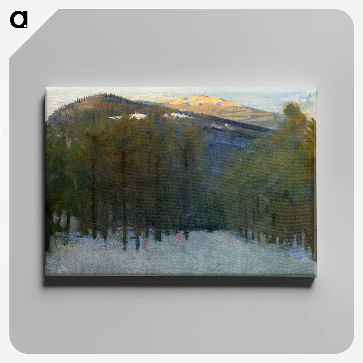 1-32_Abbott-Handerson-Thayer_canvas