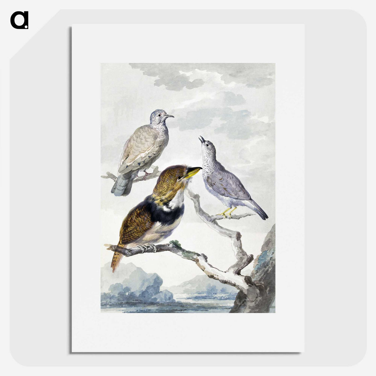 1-32_Aert-Schouman_picture