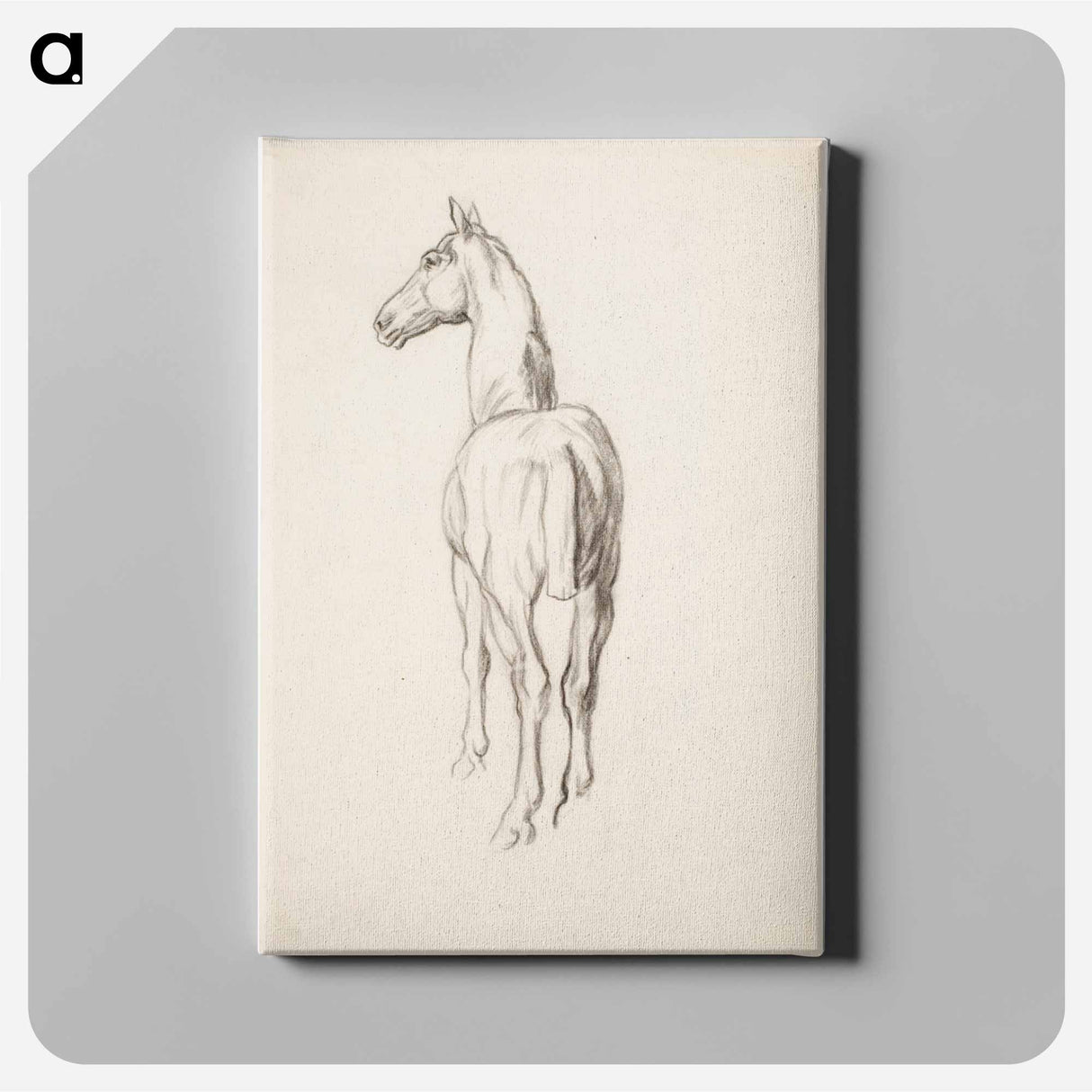 Horse, Hevosharjoitelma - アルフレッド ウィリアム フィンチ Canvas.