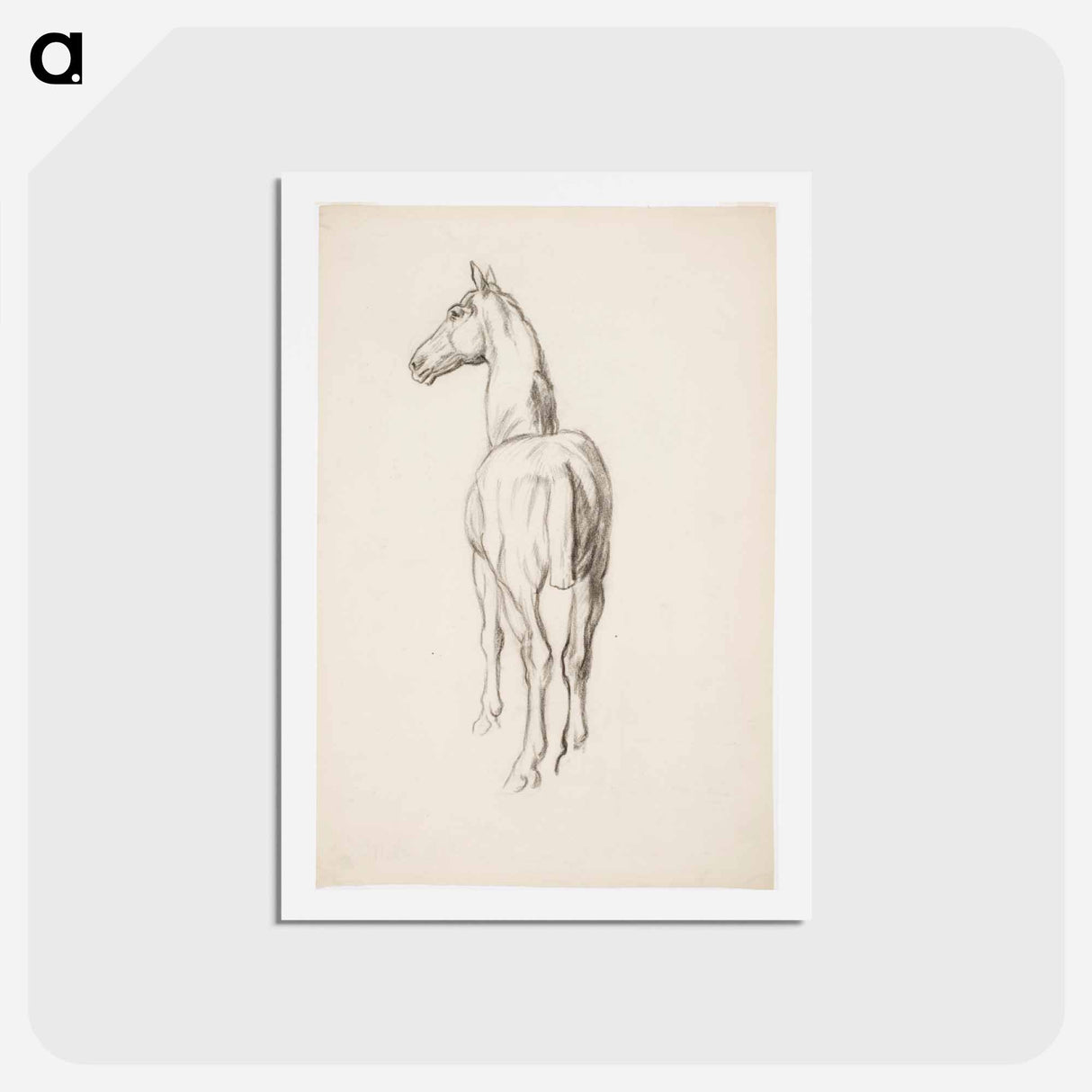 アートポストカード-Horse, Hevosharjoitelma - アルフレッド ウィリアム フィンチ Postcard.
