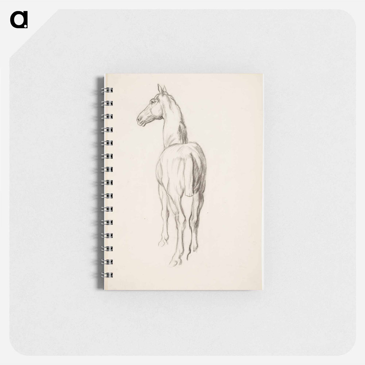 Horse, Hevosharjoitelma - アルフレッド ウィリアム フィンチ Memo.