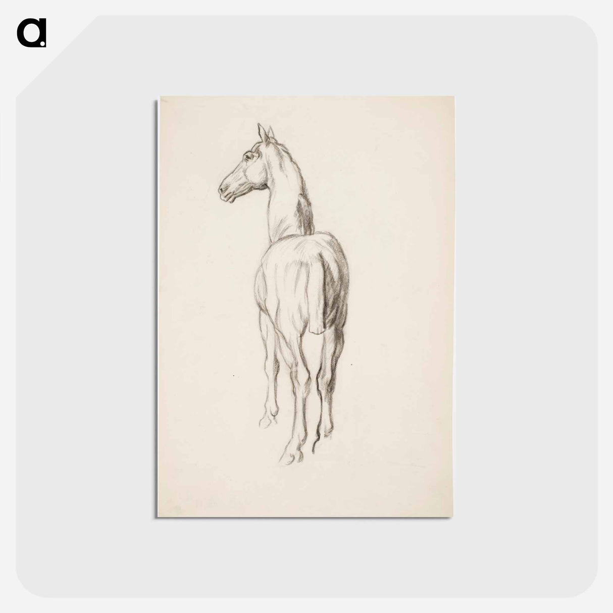 アートポストカード-Horse, Hevosharjoitelma - アルフレッド ウィリアム フィンチ Postcard.