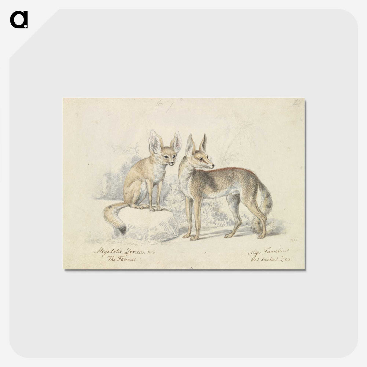 1-32_Charles-Hamilton-Smith_postcard