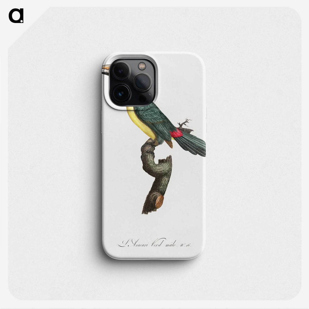 1-32_Des-Oiseaux-de-Paradis_phone
